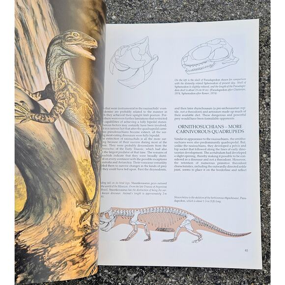 Dinosaurs a Global View by Sylvia and Stephen Czerkas 1996 Hardcover Book - Picture 7 of 7